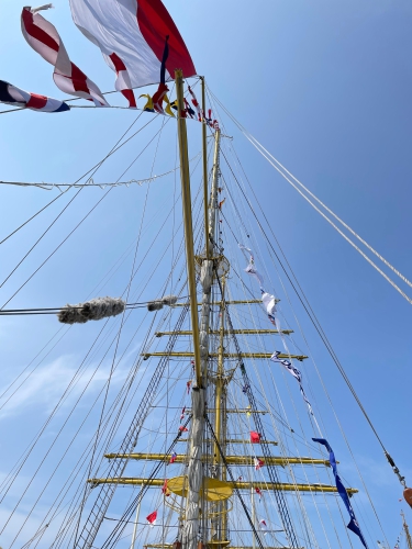 Sail23 IMG 5828